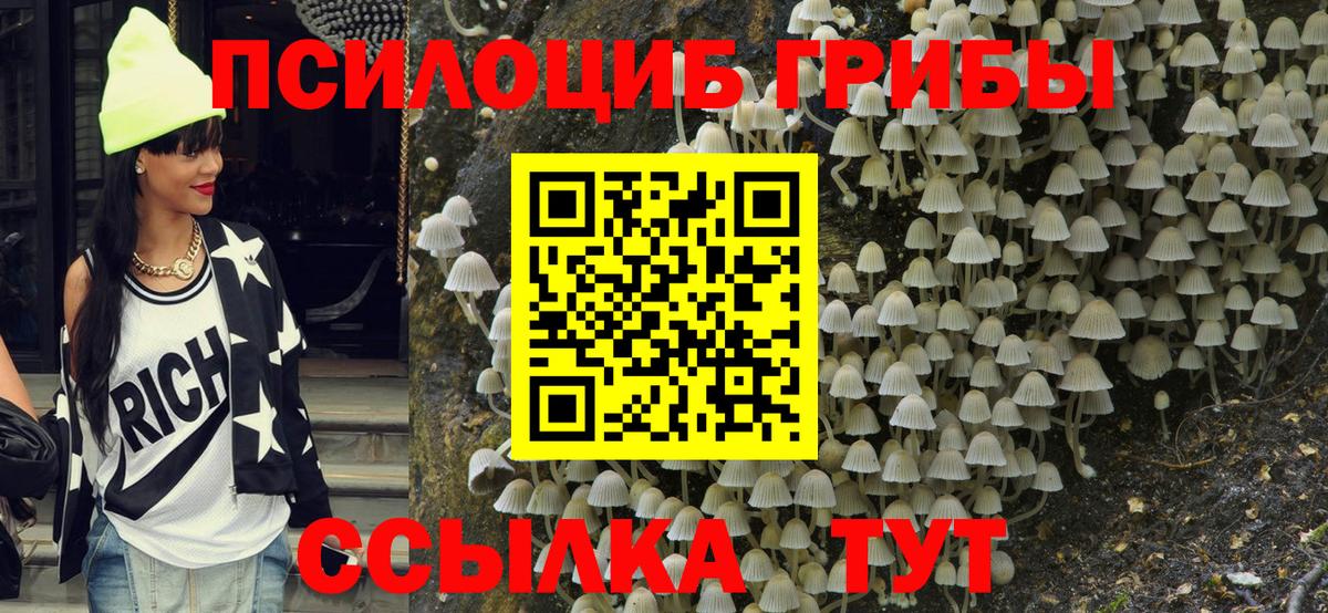 Галлюциногенные грибы Magic Shrooms Екатеринбург